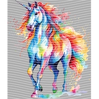 Rainbow Horse-RH 217